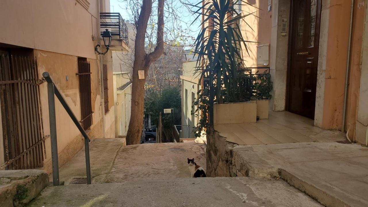 Sakura Hut Opposite The Panathenaic Stadium 外观 照片